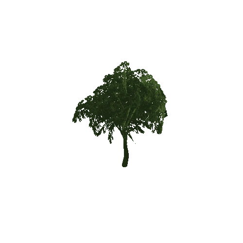 Green Tree (Type 1) Medium 1